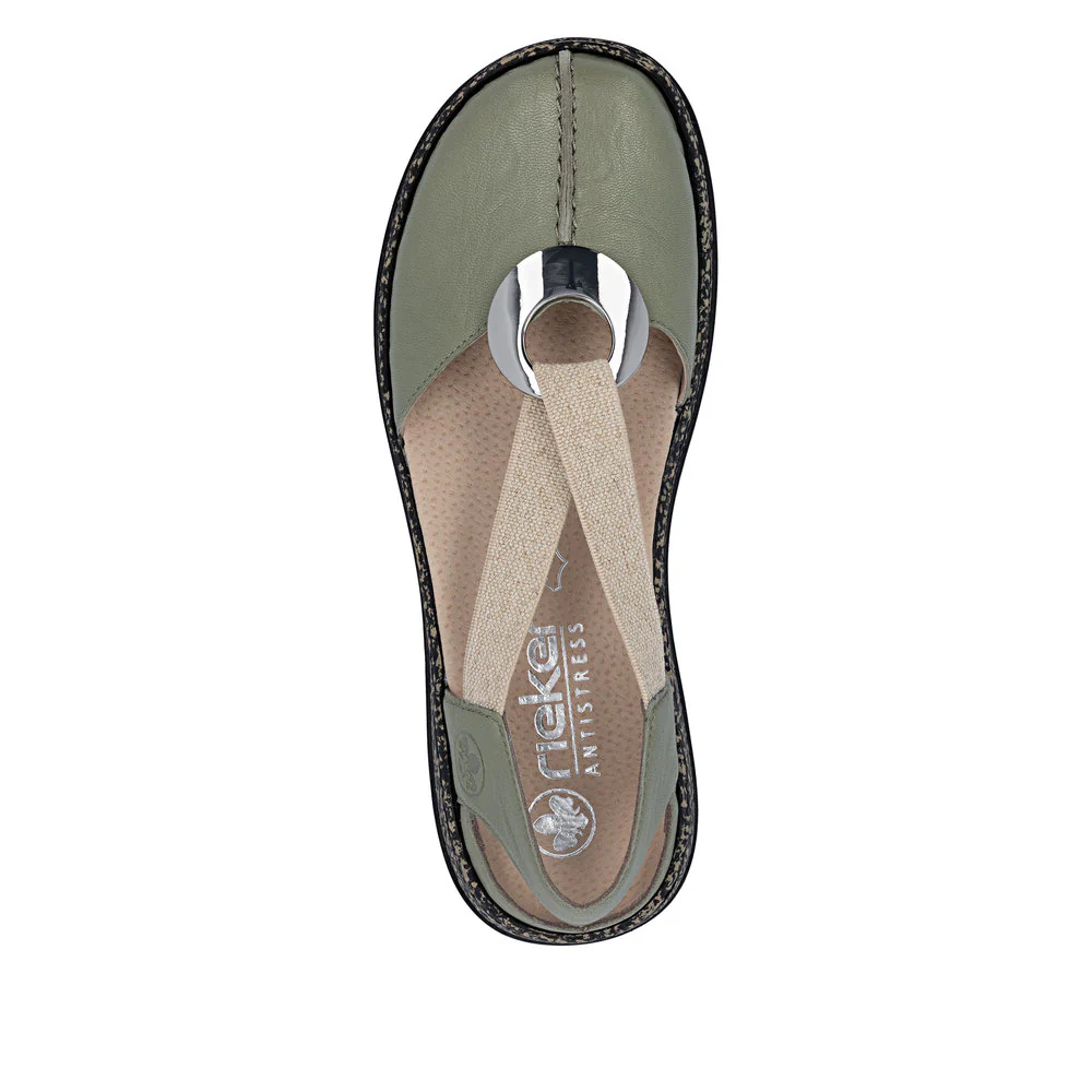 46361 Daisy - Image 7