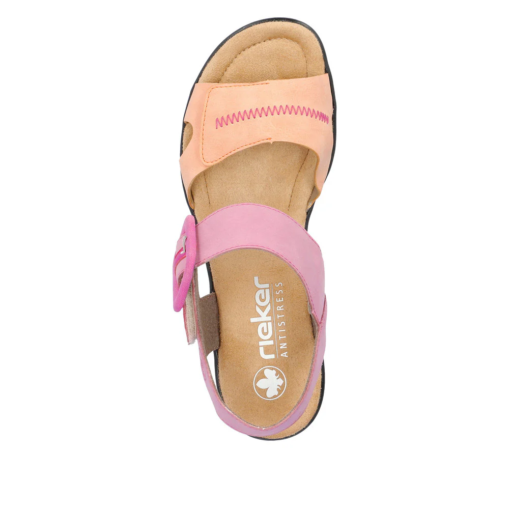 68176 Rose - Image 19