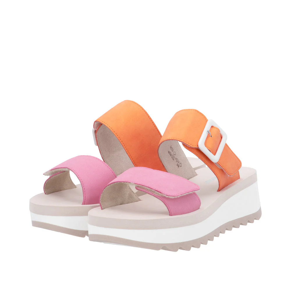W3050 Bailey - Image 9